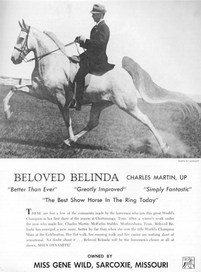 Beloved Belinda
