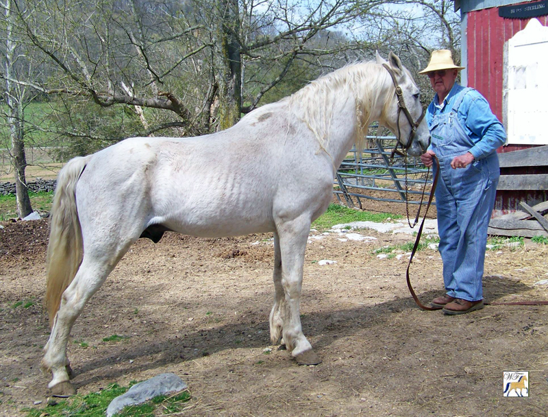 Bud's Sterling Bullet