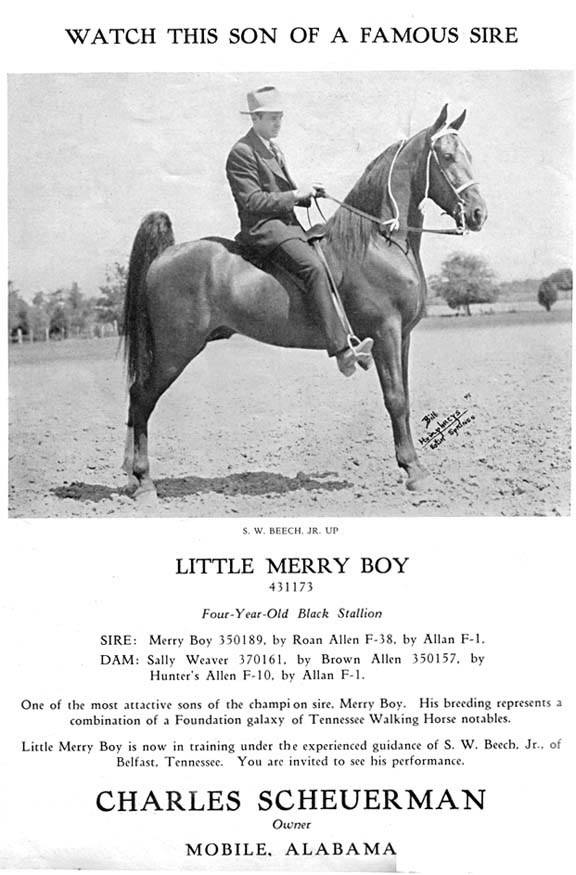 Little Merry Boy