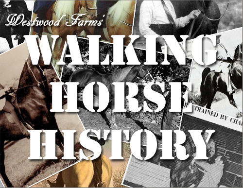 Walking Horst History